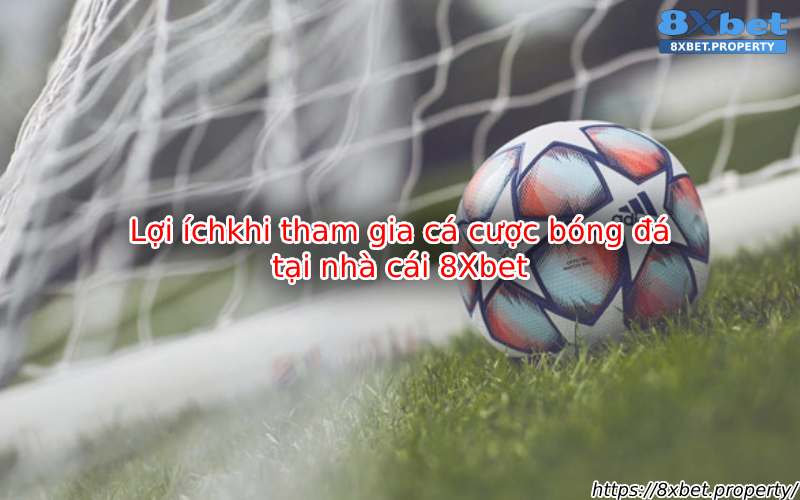 Lợi ích khi cá cược tại nhà cái 8xbet Lợi ích khi cá cược tại nhà cái 8xbet
